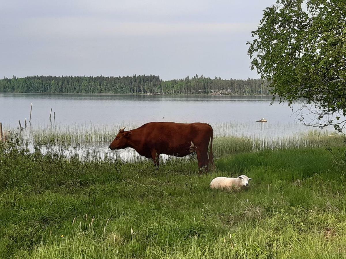 Hyvoelaen Moekit Villa Ähtäri Dış mekan fotoğraf